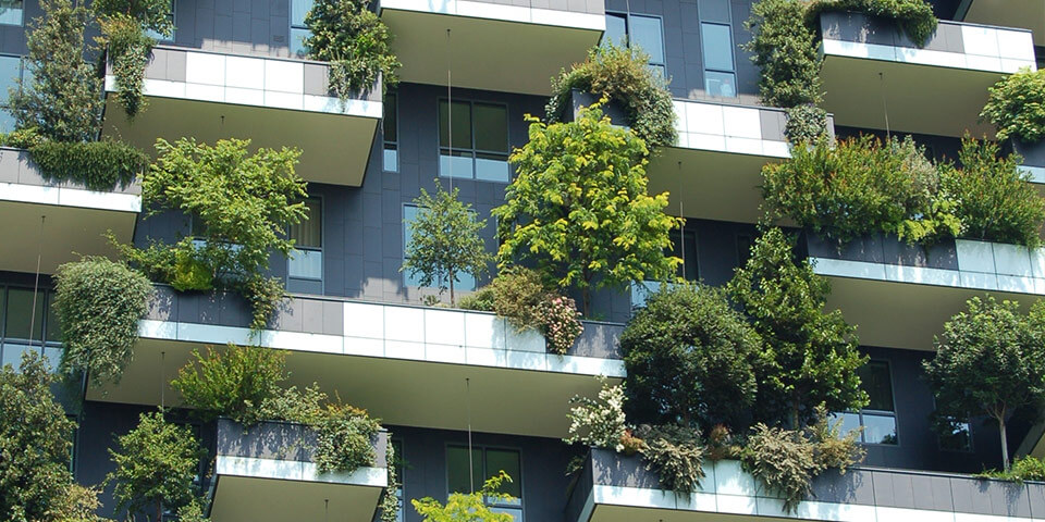 8 Downtown Oasis