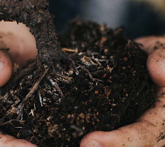 blog3 Getting the Most out of your Landscaping Project