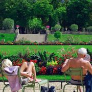 3 Tips for Finding the Best Landscaping Company