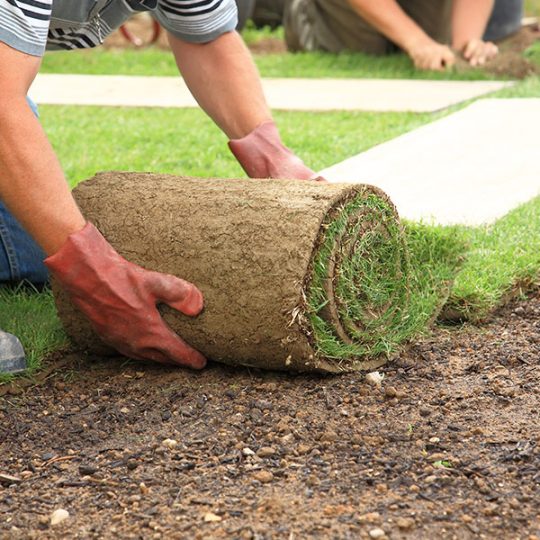 Artificial Turf