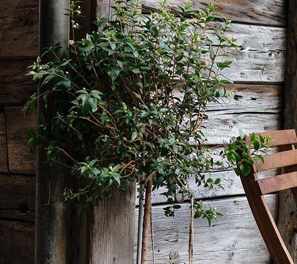 blog2 How To Hire the Right Landscape Architect for Your Yard