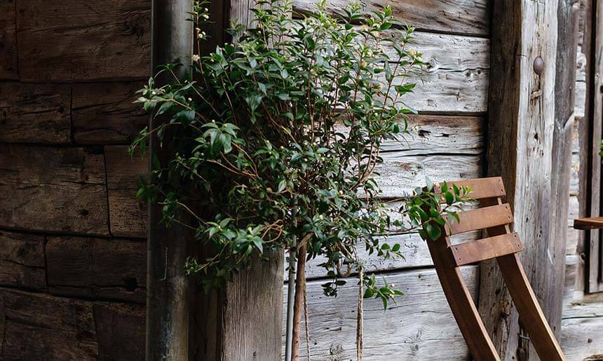 blog2 How To Hire the Right Landscape Architect for Your Yard