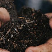 Getting the Most out of your  Landscaping Project