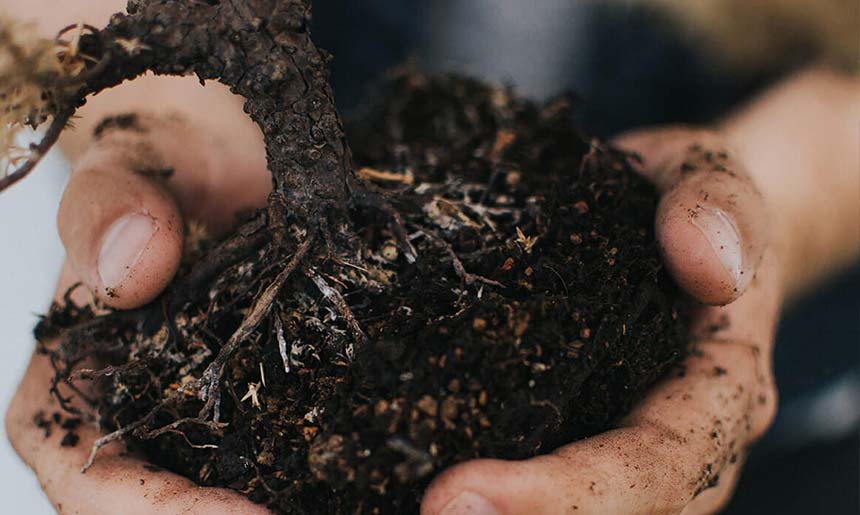 blog3 Getting the Most out of your Landscaping Project