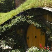 How to Find a Landscaping Company You Can Trust