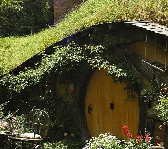 How to Find a Landscaping Company You Can Trust