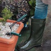 Planting for Pollinators: Butterflies and Bees Abound